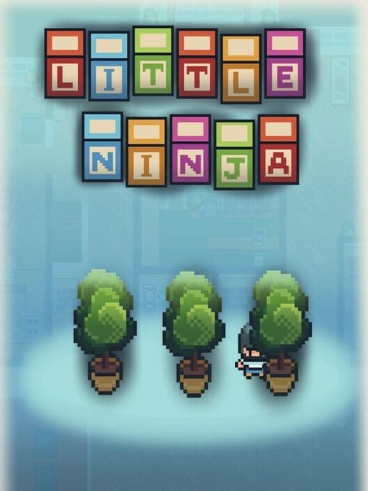 Little Ninja