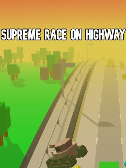Supreme Race on Highway