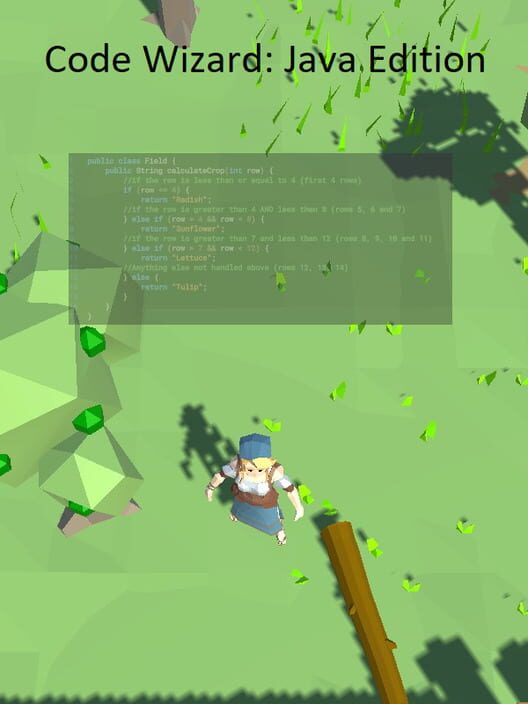 Code Wizard: Java Edition