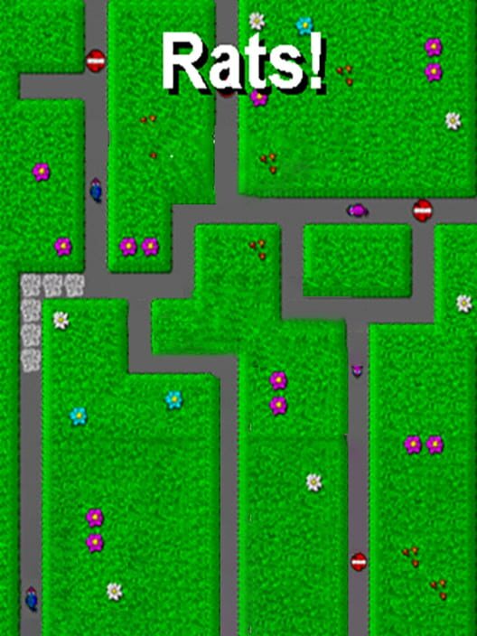 Rats!