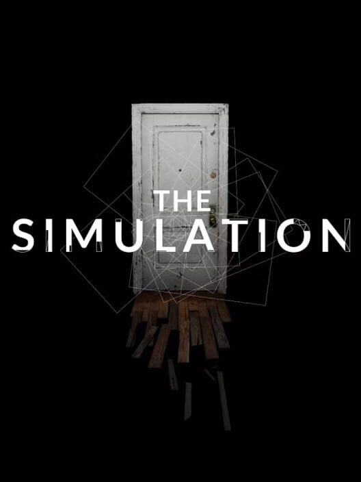The Simulation