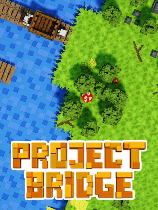 Project Bridge
