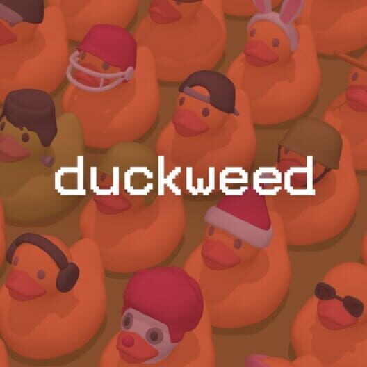 Duckweed