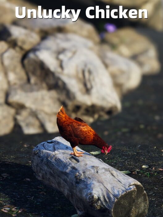 Unlucky Chicken