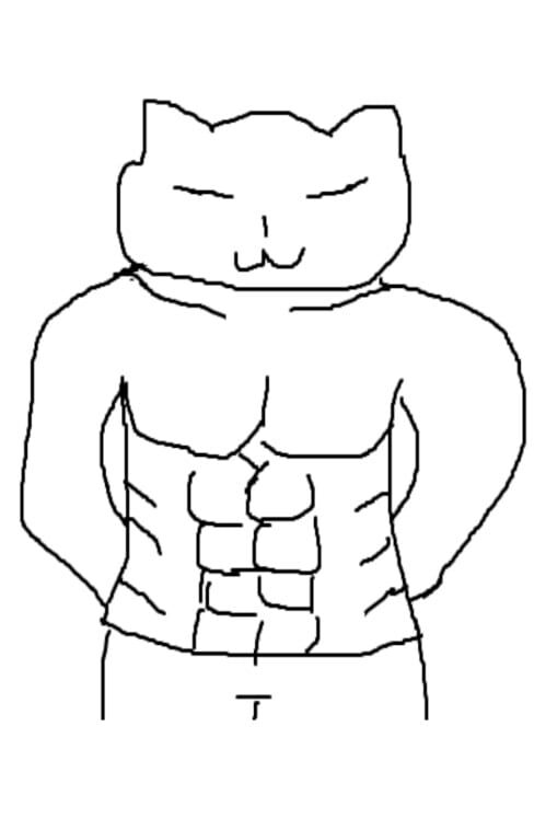 CatCatMan