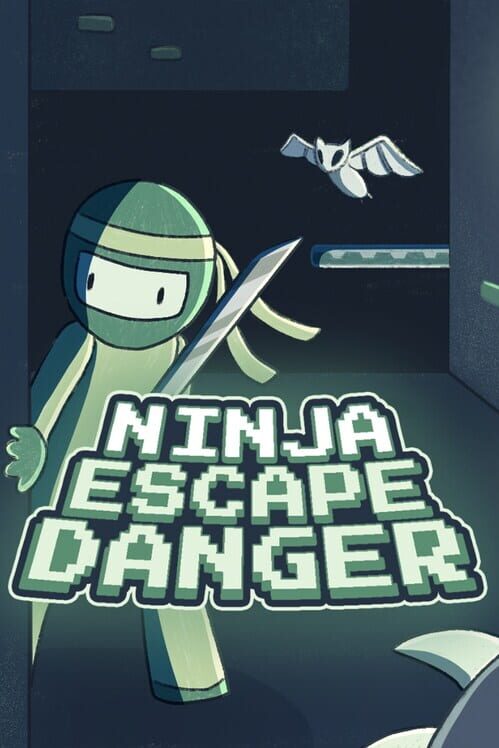 Ninja Escape Danger