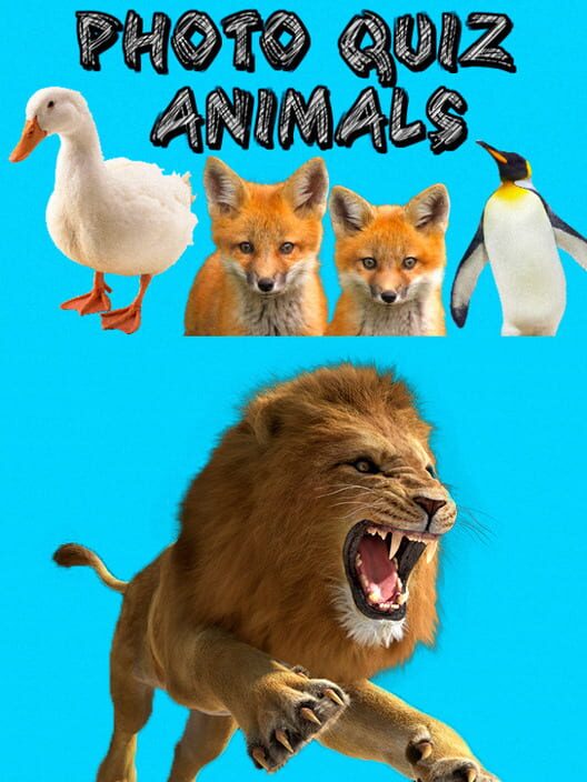Photo Quiz: Animals