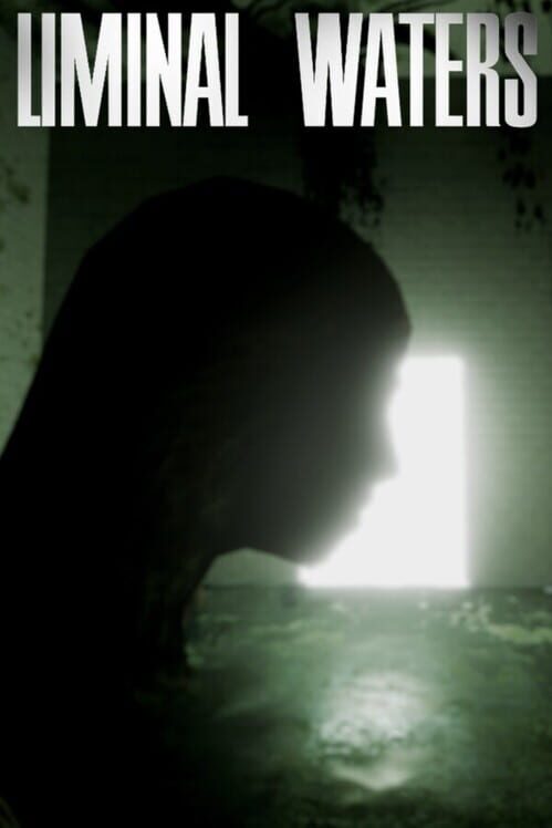 Liminal Waters