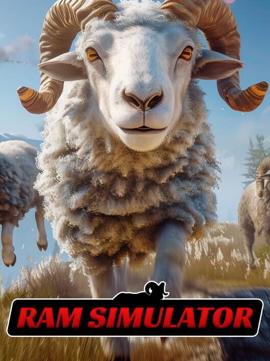 Ram Simulator