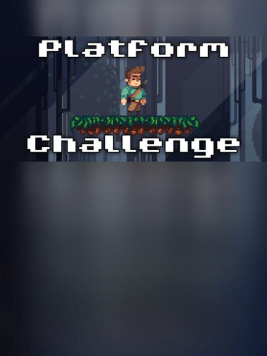Platform Challenge