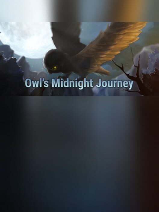 Owl's Midnight Journey
