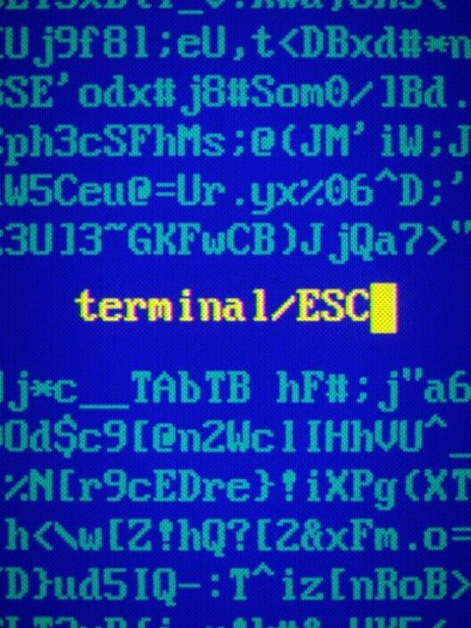 Terminal ESC