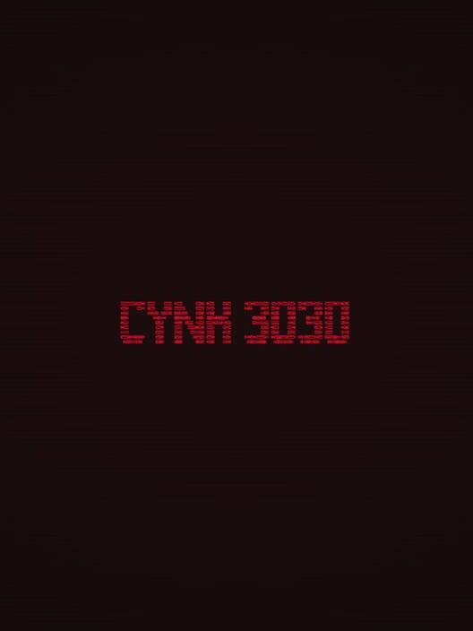 Cynk 3030
