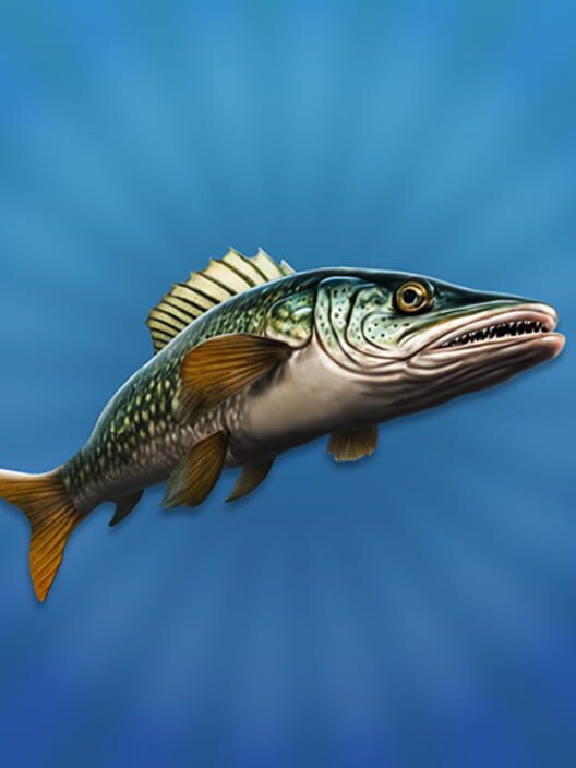True Fishing 2
