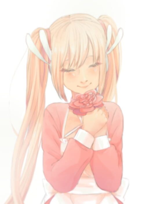 Camelia
