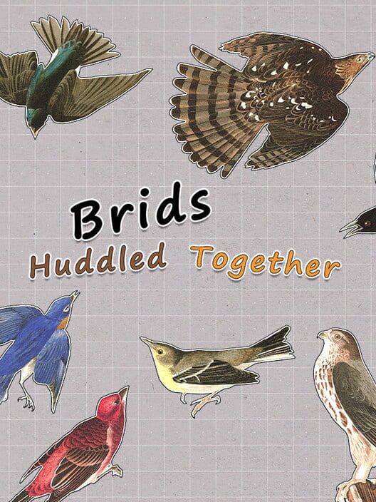 Brids Huddled Together