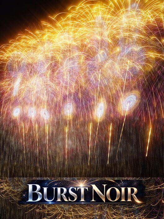 Burst Noir: Fireworks Simulator