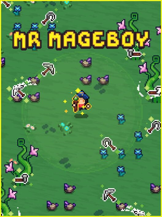 Mr Mageboy