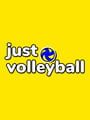 Just Volleyball